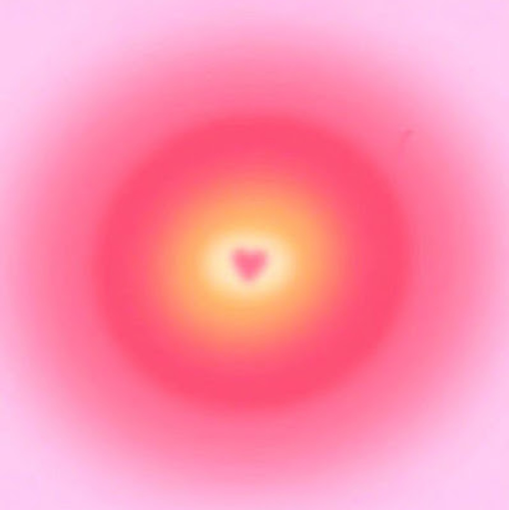 Meet your Posher, Danii